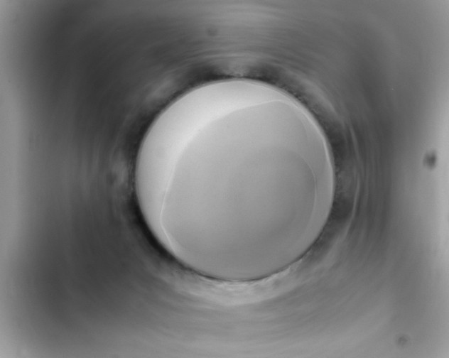 X0000102390031200808151931