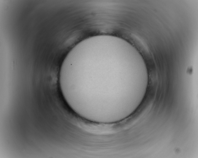 X0000102390032200808151931