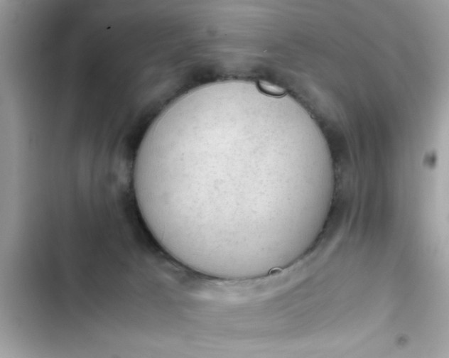 X0000102390033200808151931