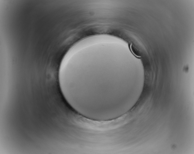 X0000102390035200808151931