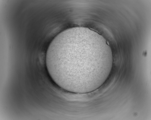 X0000102390036200808151931