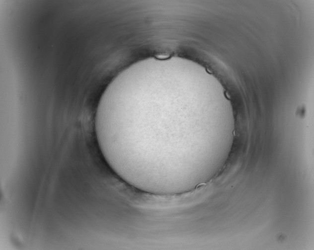 X0000102390037200808151931