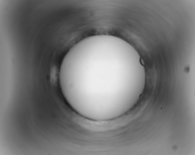 X0000102390038200808151931