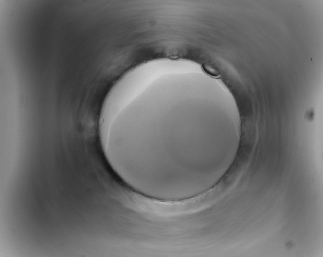 X0000102390039200808151931