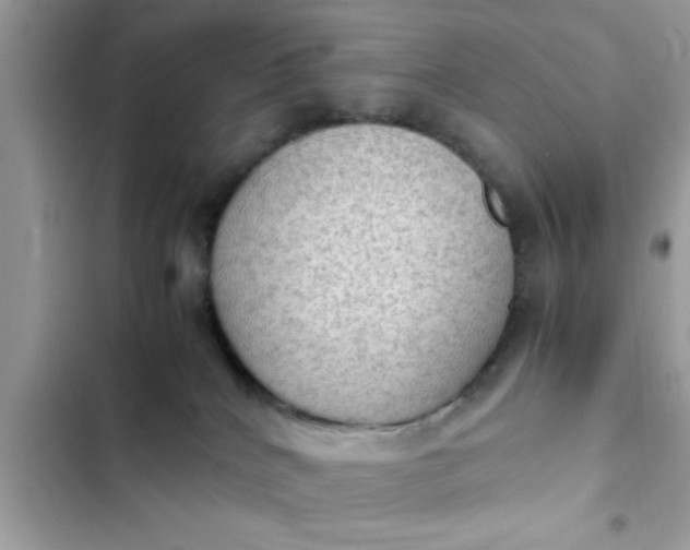 X0000102390040200808151931