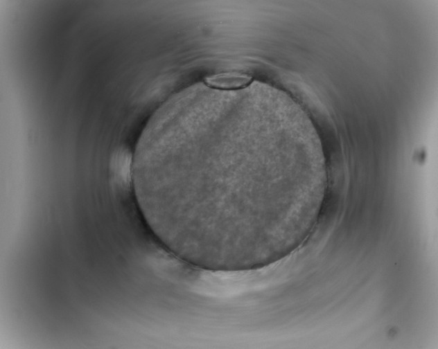 X0000102390041200808151931