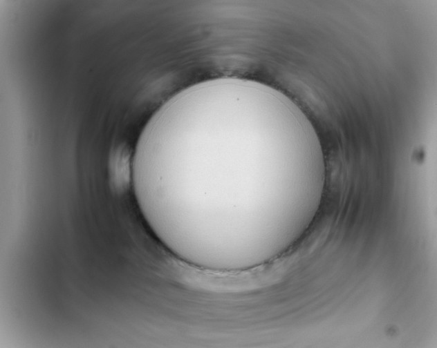 X0000102390042200808151931