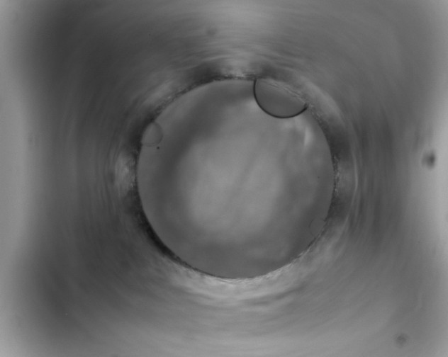 X0000102390043200808151931