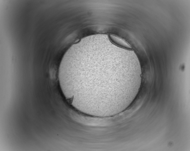 X0000102390044200808151931