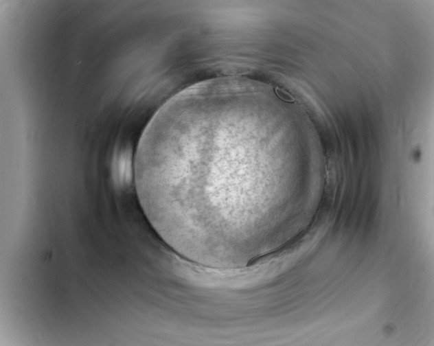 X0000102390046200808151931