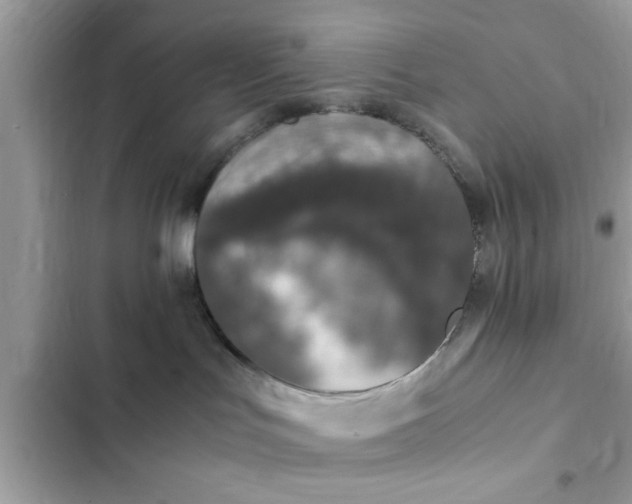 X0000102390047200808151931