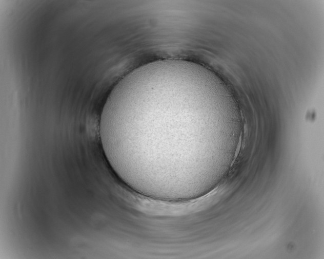 X0000102390048200808151931