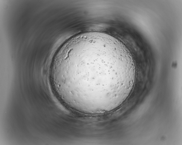 X0000102390049200808151930