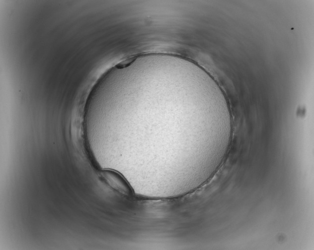 X0000102390050200808151930