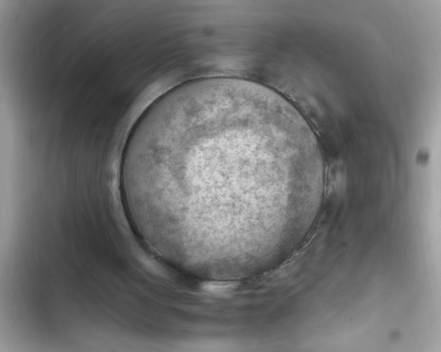 X0000102390051200808151930