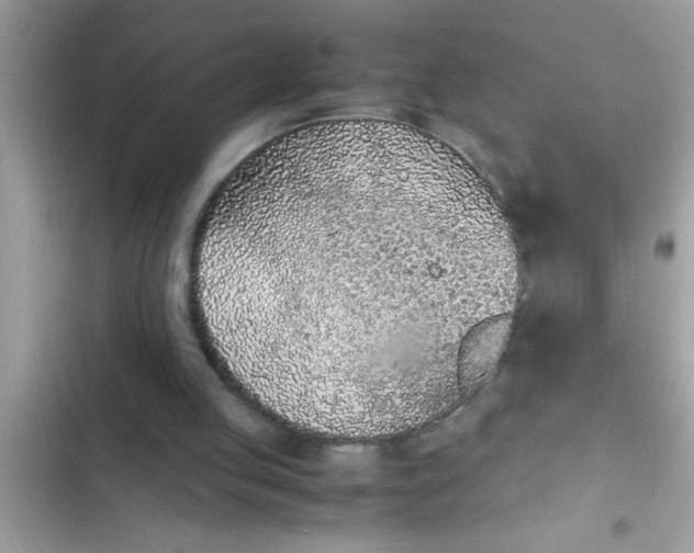 X0000102390053200808151930