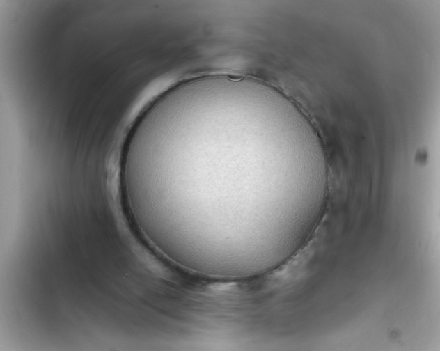 X0000102390054200808151930