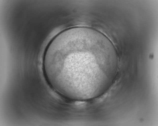 X0000102390055200808151930