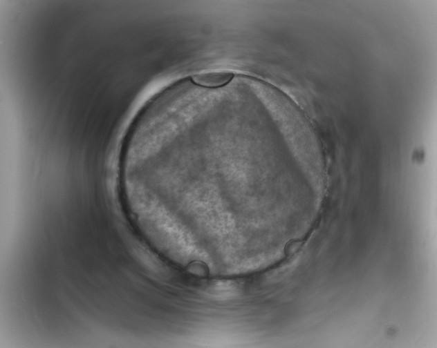 X0000102390056200808151930