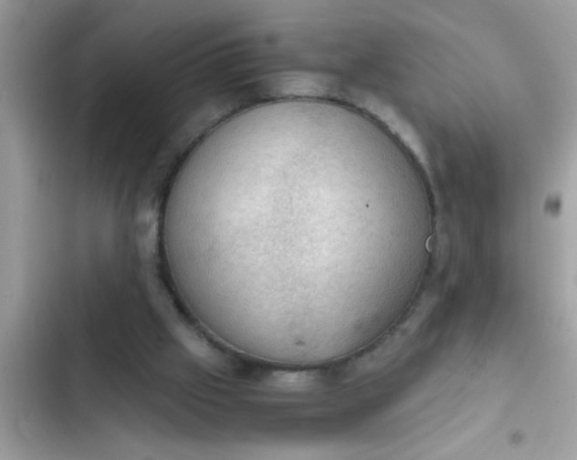 X0000102390057200808151930