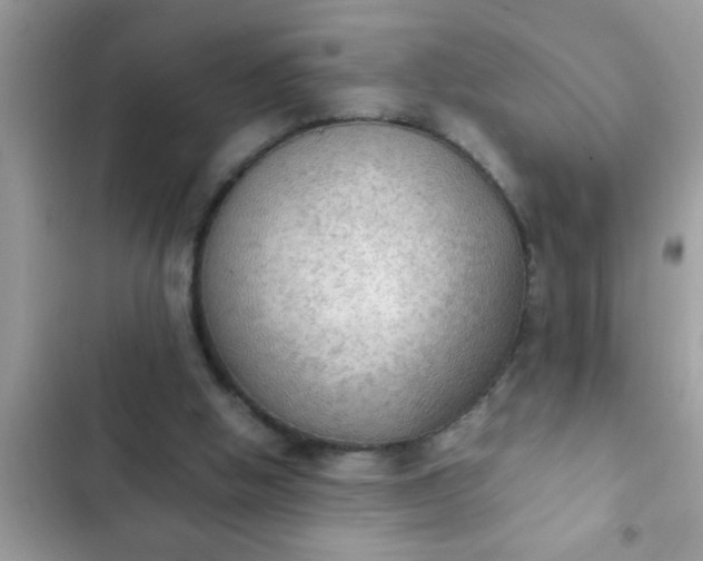 X0000102390058200808151930