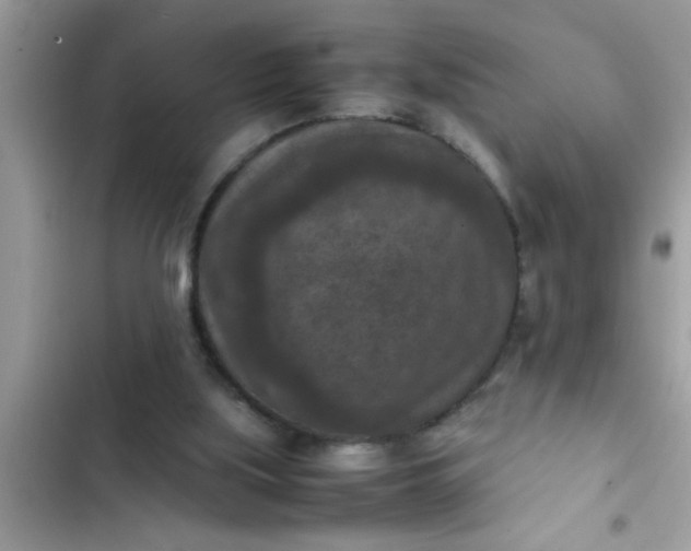 X0000102390059200808151930