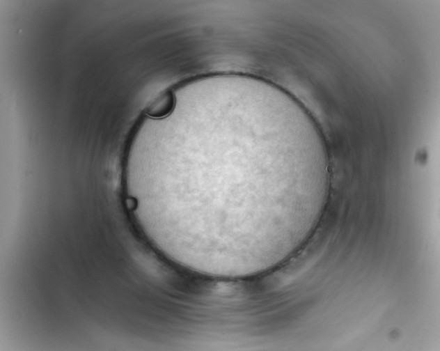 X0000102390060200808151930