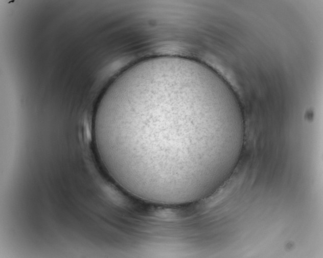 X0000102390062200808151930