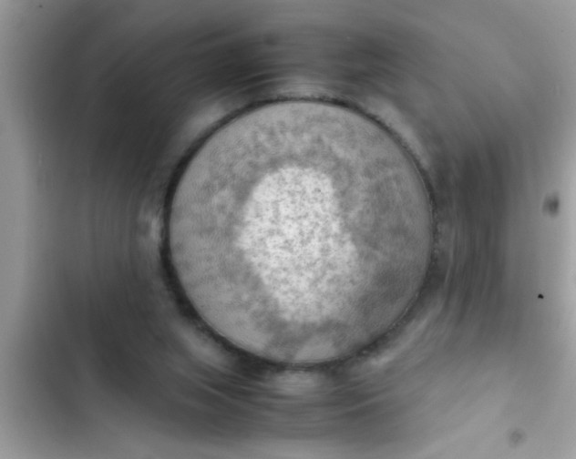 X0000102390063200808151930