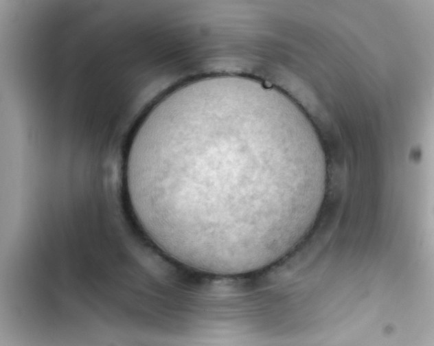 X0000102390064200808151930