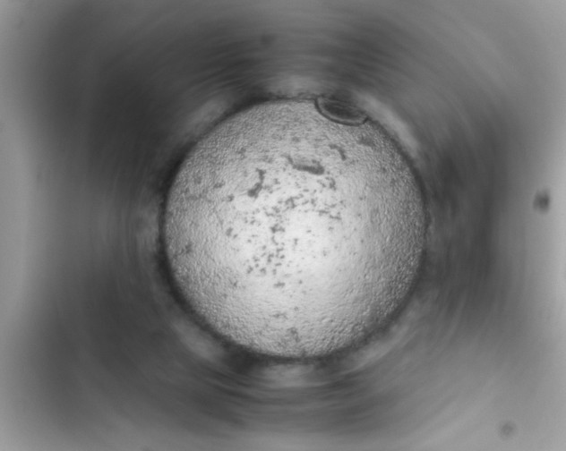 X0000102390065200808151930