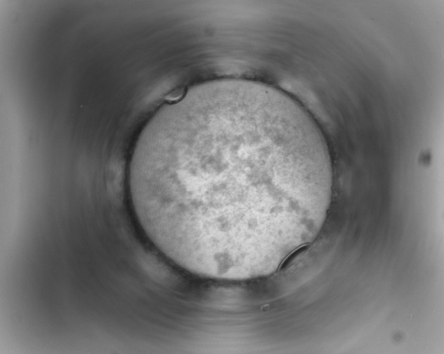 X0000102390066200808151930