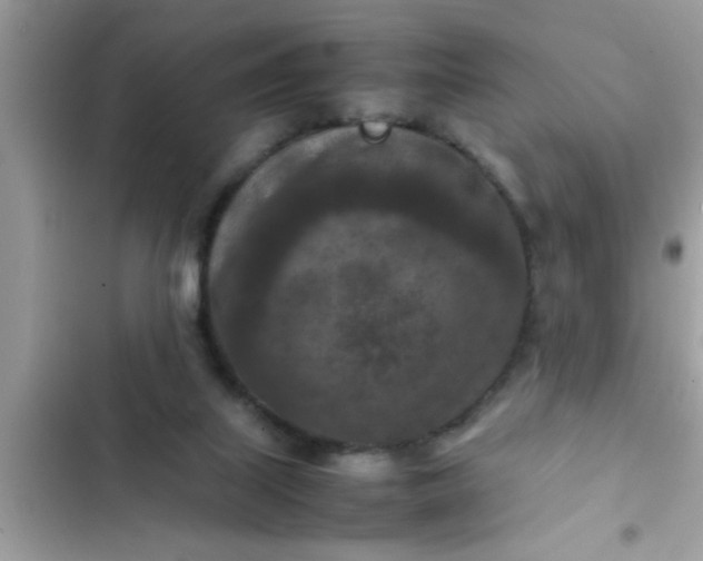 X0000102390067200808151930