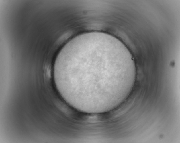 X0000102390068200808151930