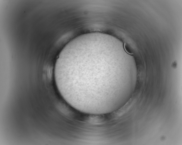 X0000102390070200808151930