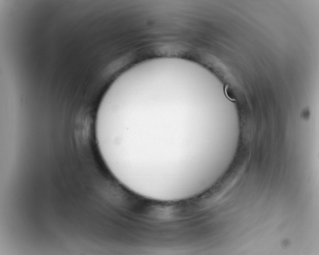 X0000102390071200808151930