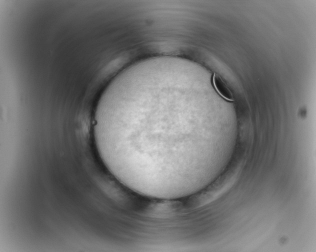 X0000102390072200808151930