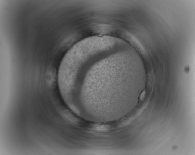 X0000102390073200808151930