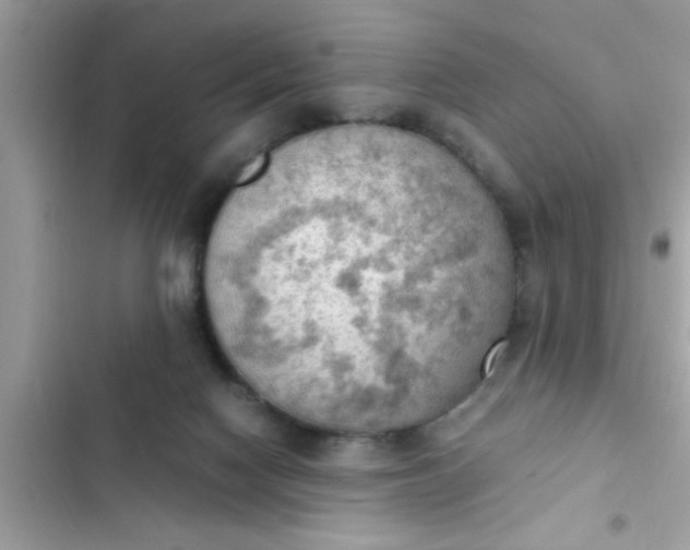 X0000102390074200808151930