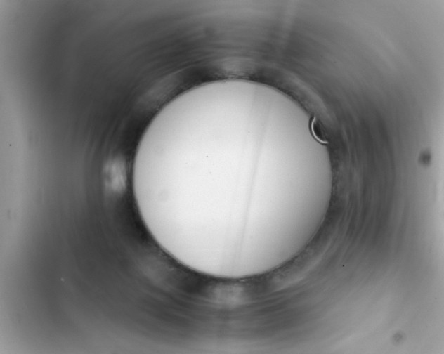 X0000102390075200808151930