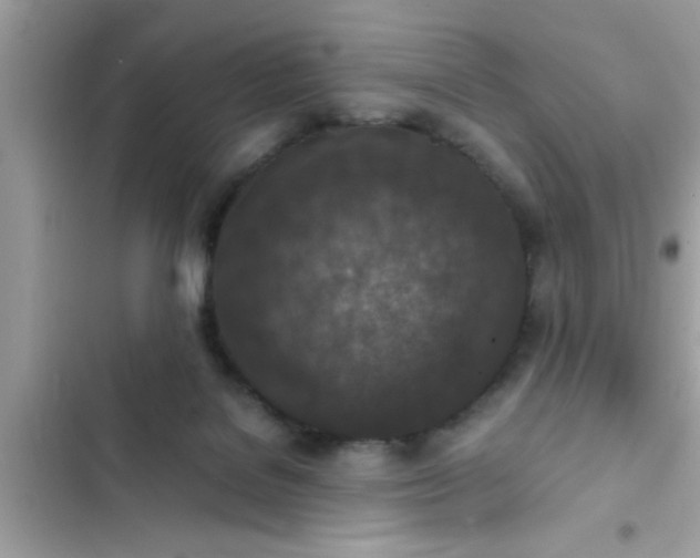 X0000102390076200808151930