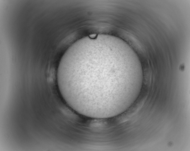 X0000102390077200808151930