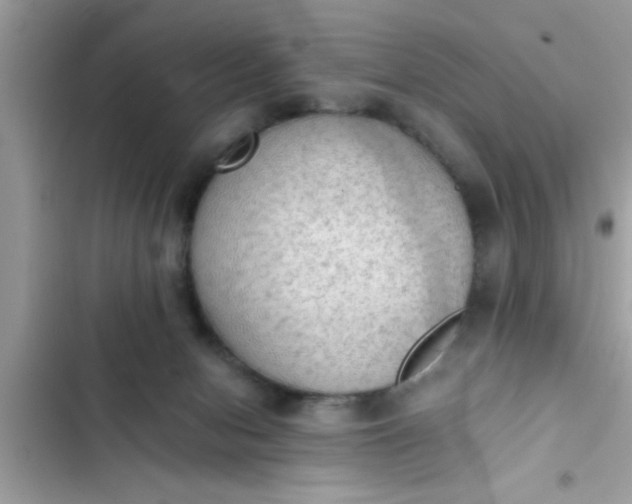 X0000102390078200808151930