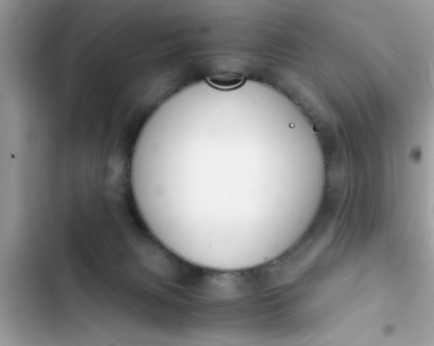 X0000102390079200808151930