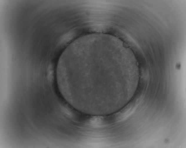 X0000102390080200808151930