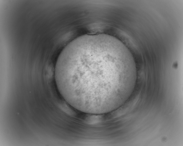 X0000102390081200808151930