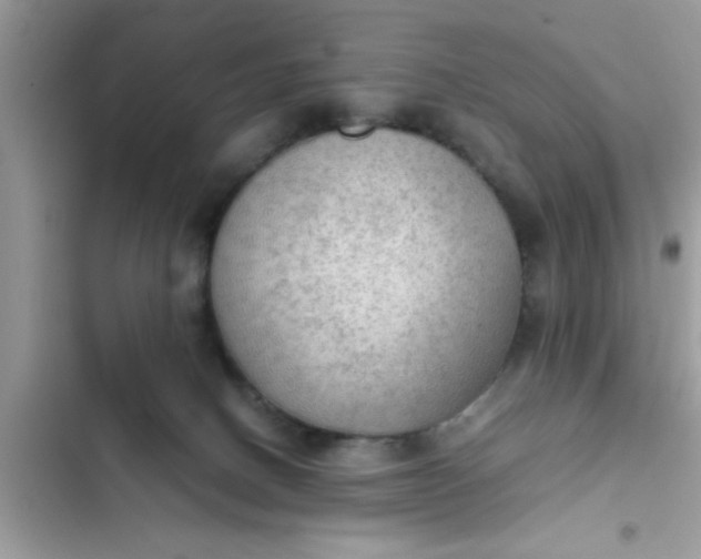 X0000102390082200808151930