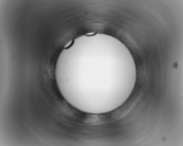 X0000102390083200808151930