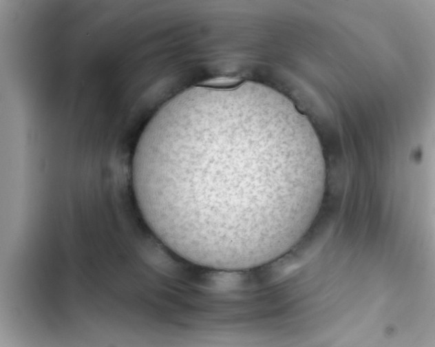 X0000102390085200808151930