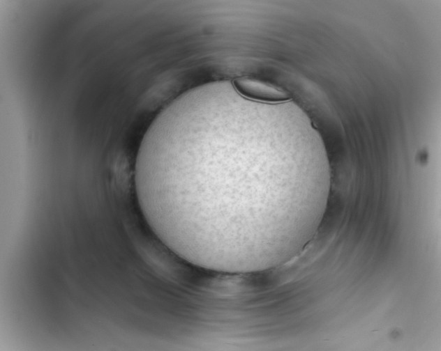 X0000102390086200808151930